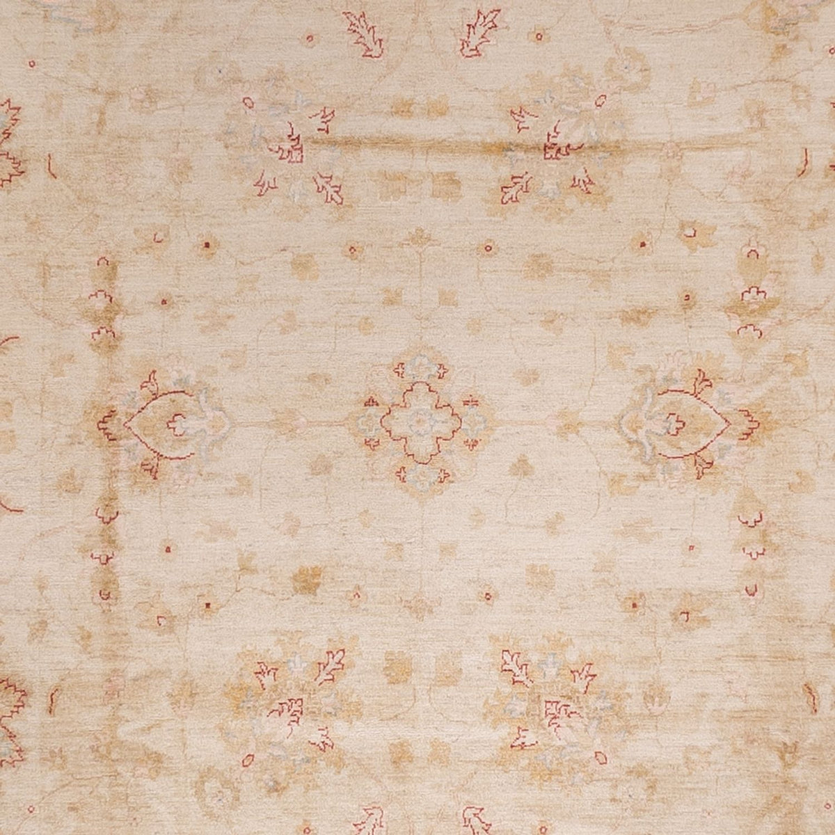 Ziegler Rug - 487 x 353 cm - red