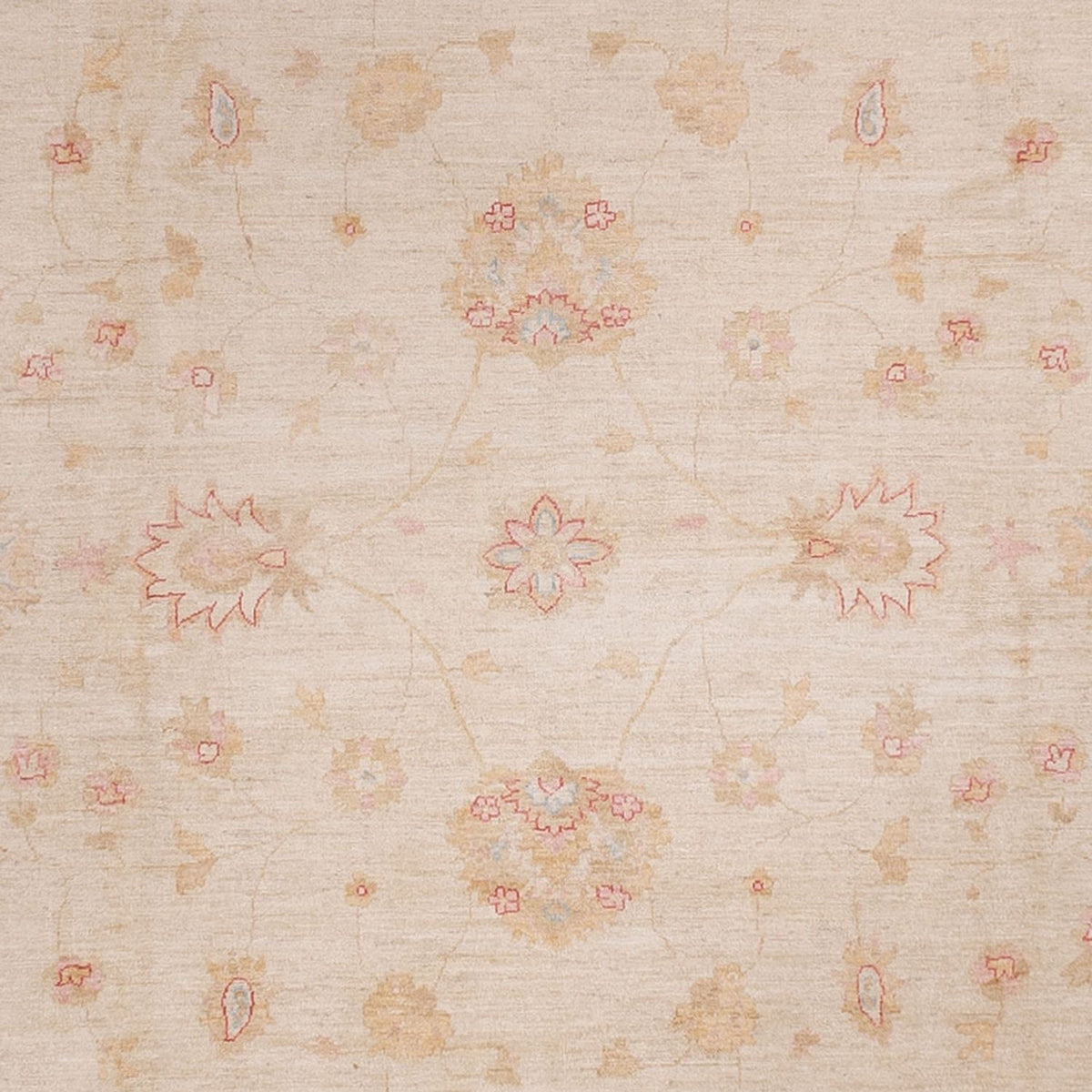 Ziegler Rug - 538 x 350 cm - beige