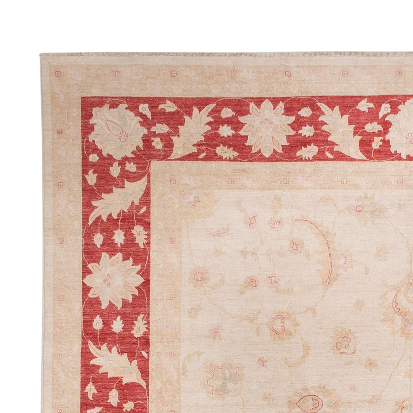 Ziegler Rug 538x350cm - Oriental Rug