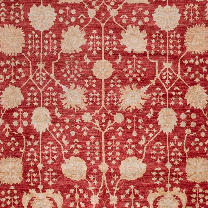 Ziegler Rug - 495 x 400 cm - red