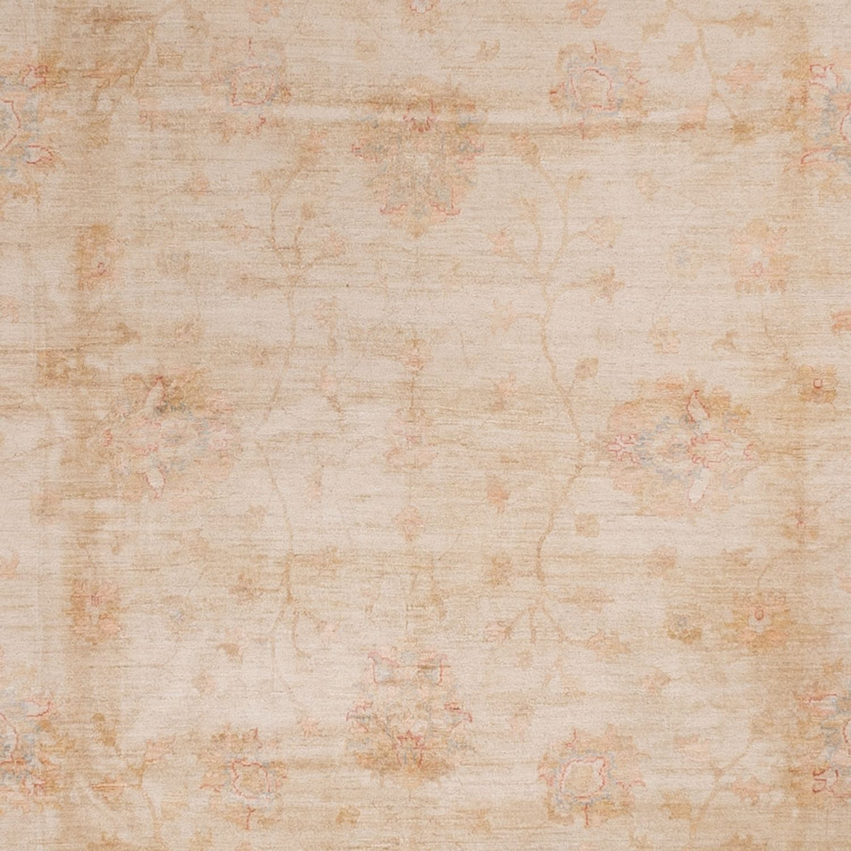 Ziegler Rug - 503 x 393 cm - beige