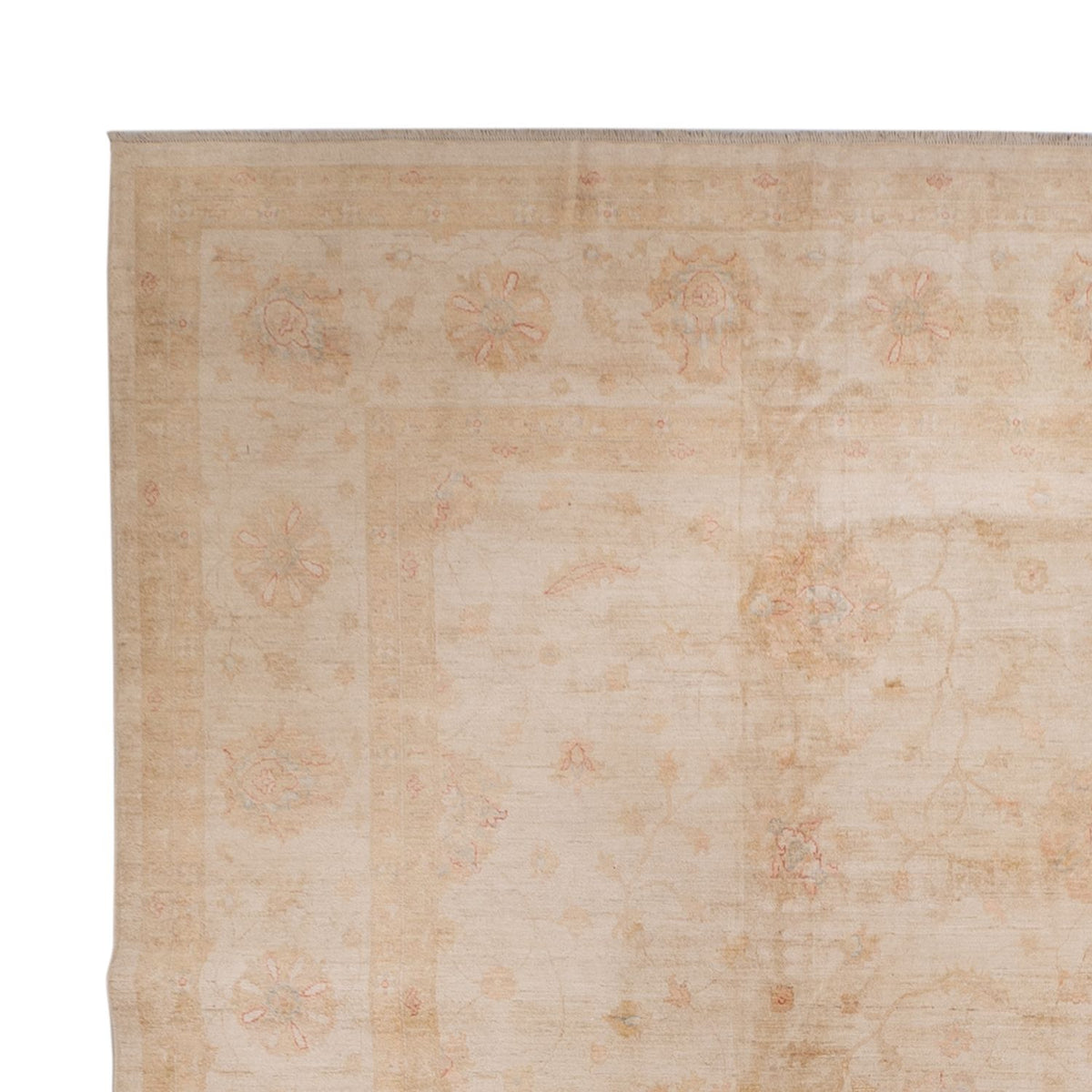 Ziegler Rug - 503 x 393 cm - beige