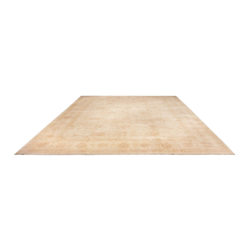 Ziegler Rug - 503 x 393 cm - beige