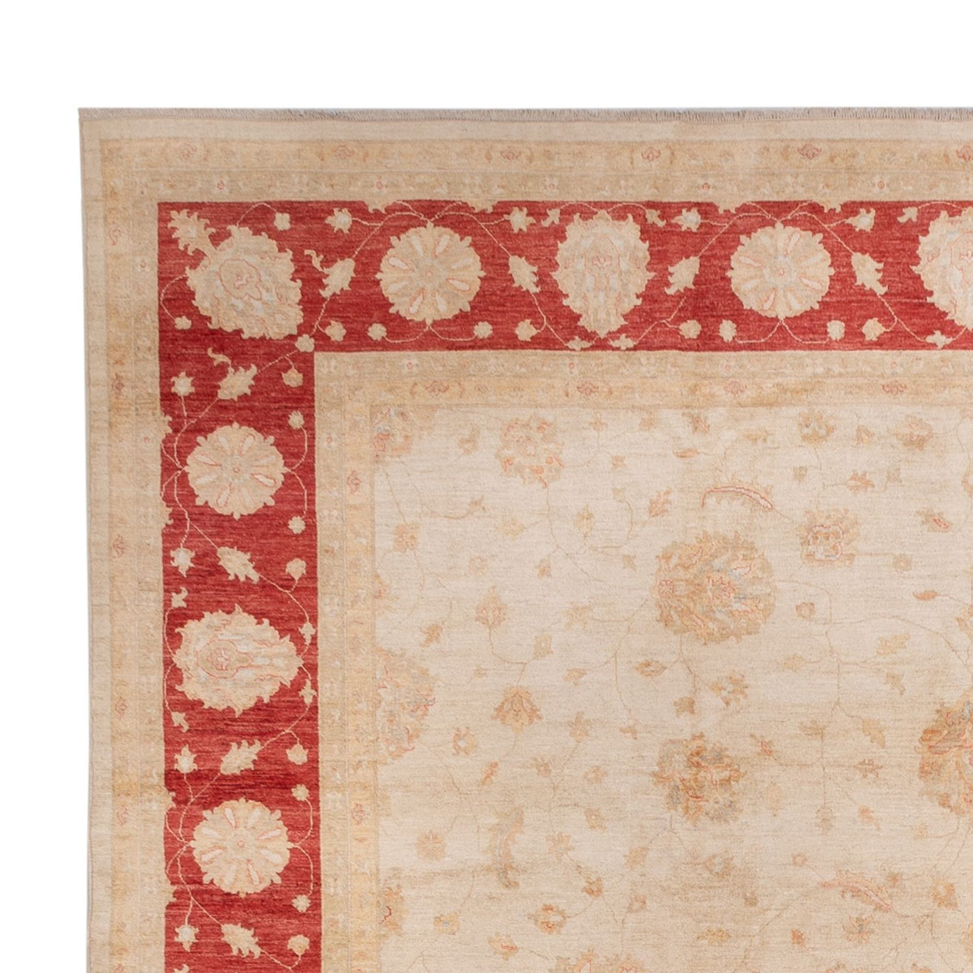 Ziegler Rug 498x405cm - Oriental Rug
