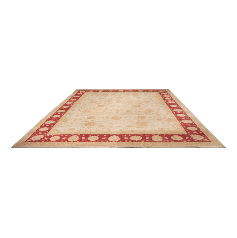 Ziegler Rug - 498 x 405 cm - beige