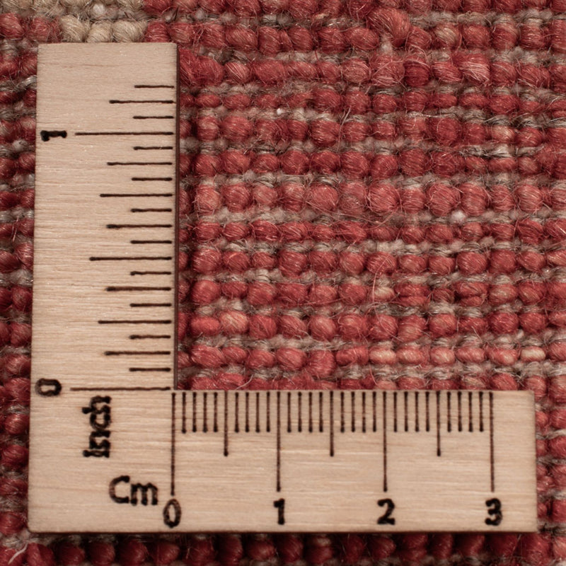 Ziegler Rug - 498 x 405 cm - beige