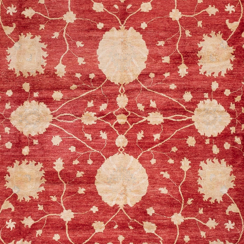 Ziegler Rug - 521 x 400 cm - beige