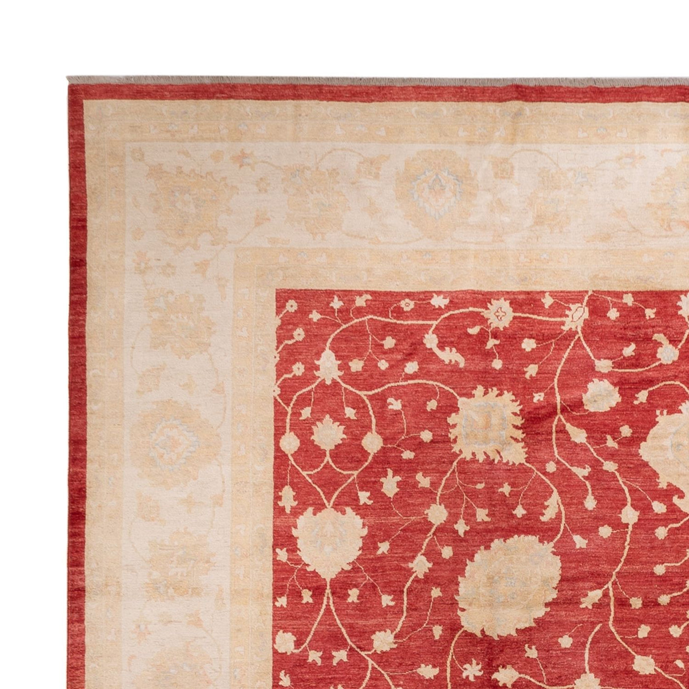 Ziegler Rug 521x400cm - Oriental Rug