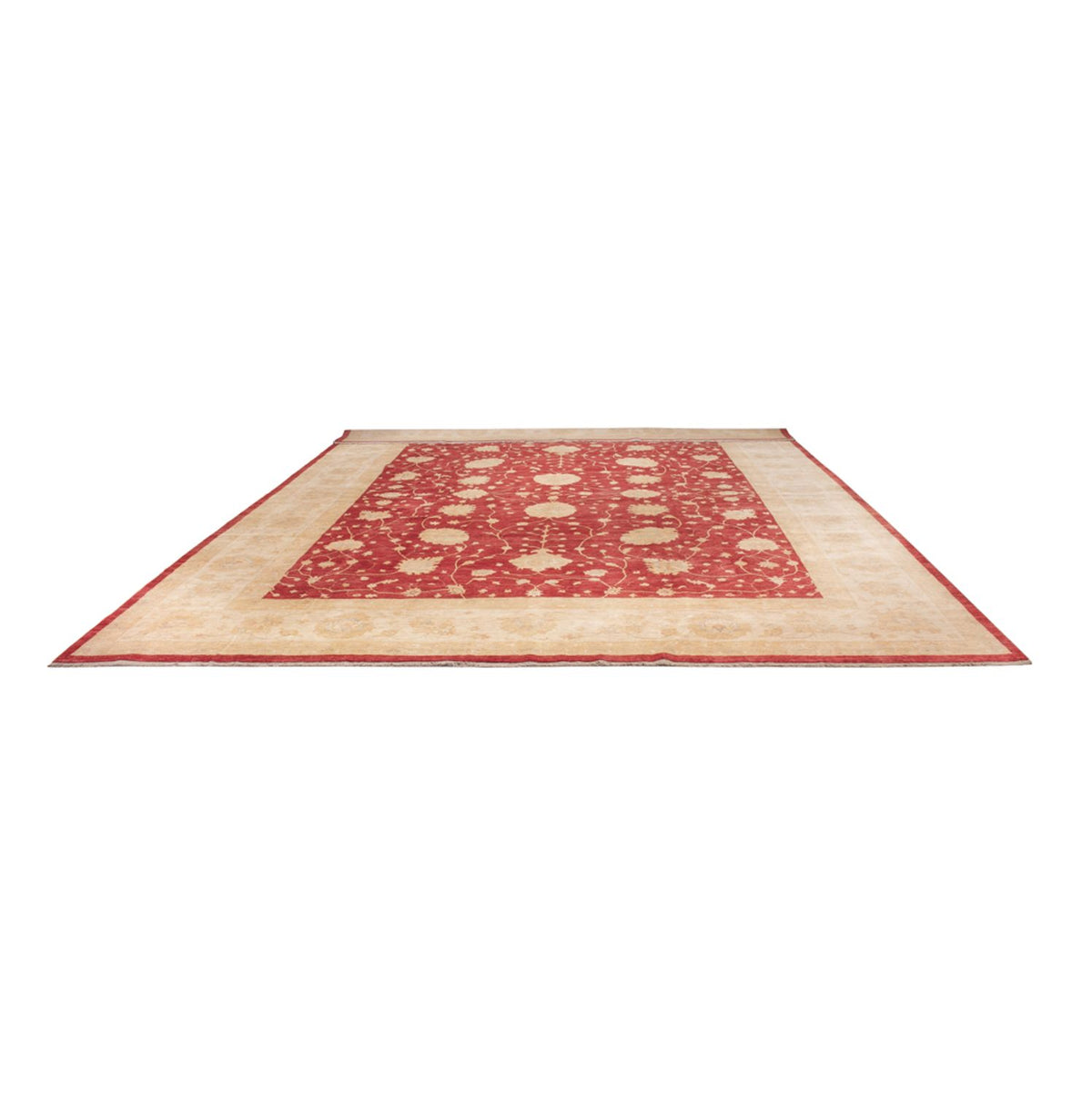 Ziegler Rug - 521 x 400 cm - beige