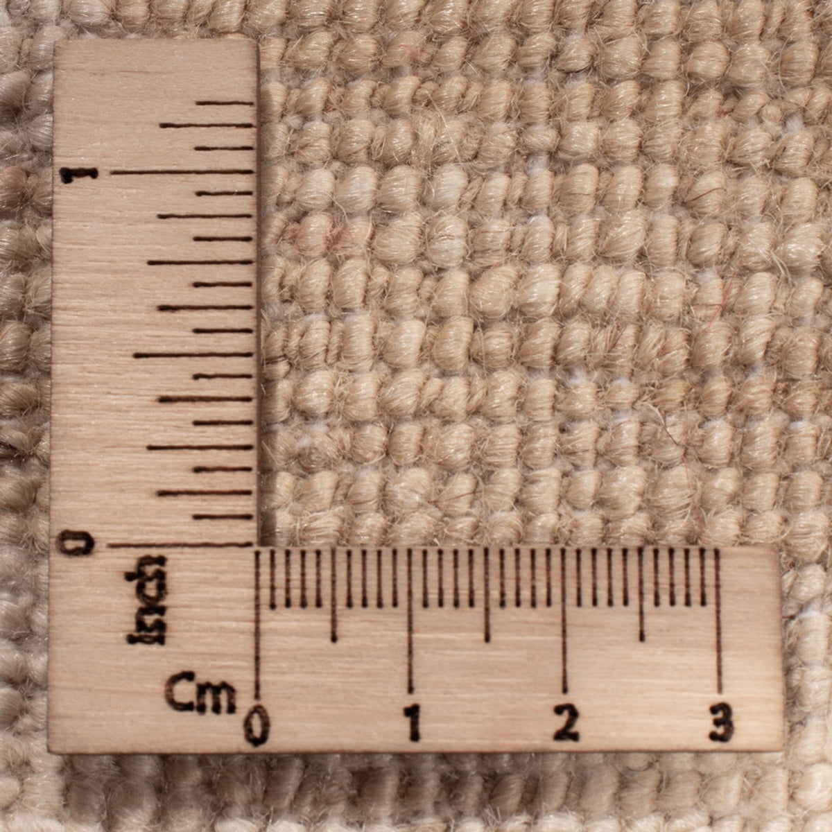 Ziegler Rug - 521 x 400 cm - beige