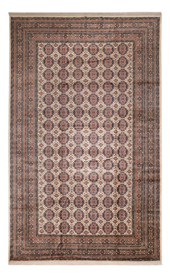 Afghan Rug - 492 x 303 cm - dark beige