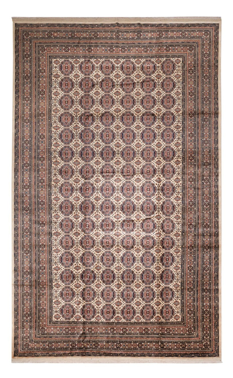 Afghan Rug - 492 x 303 cm - dark beige