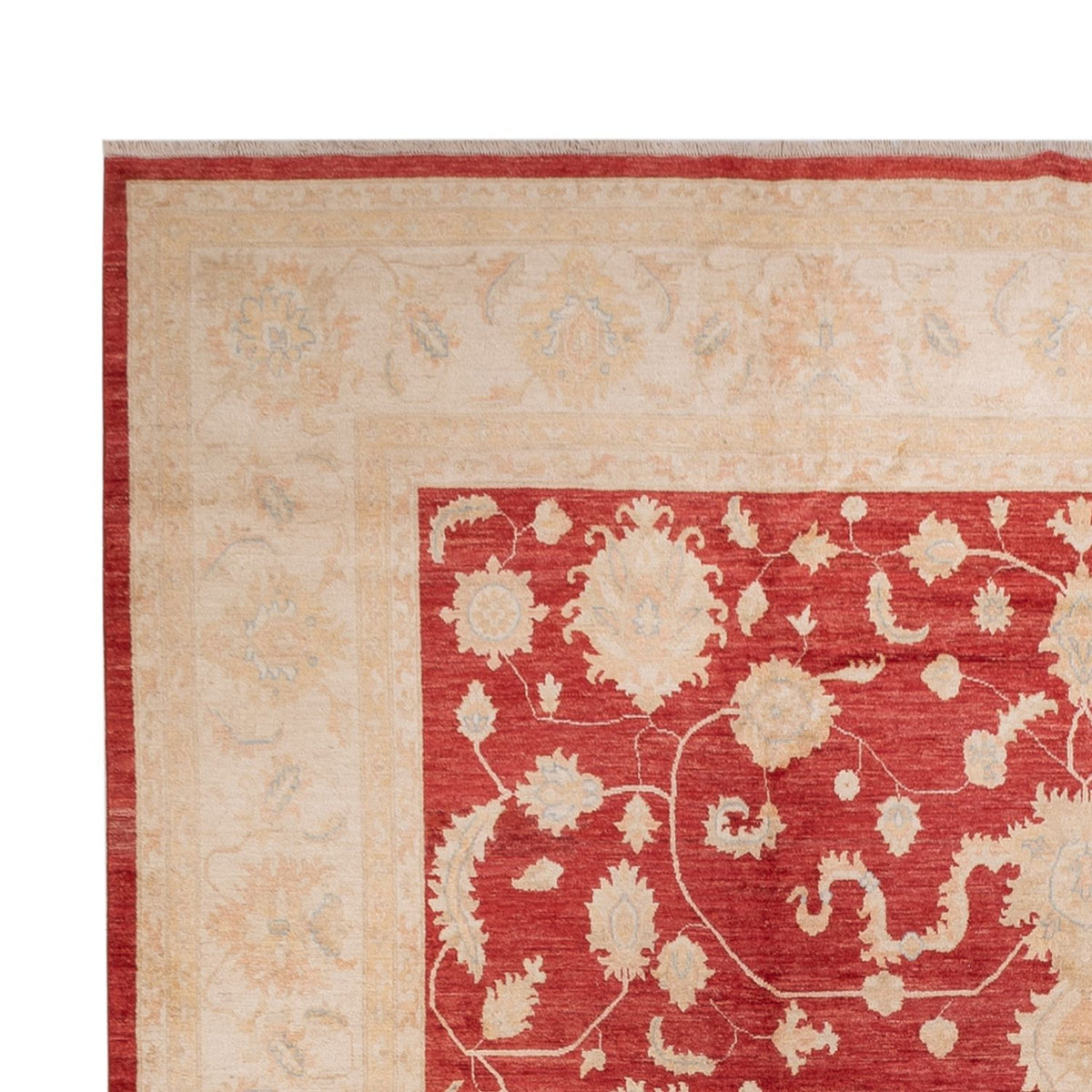 Ziegler Rug - 540 x 352 cm - red