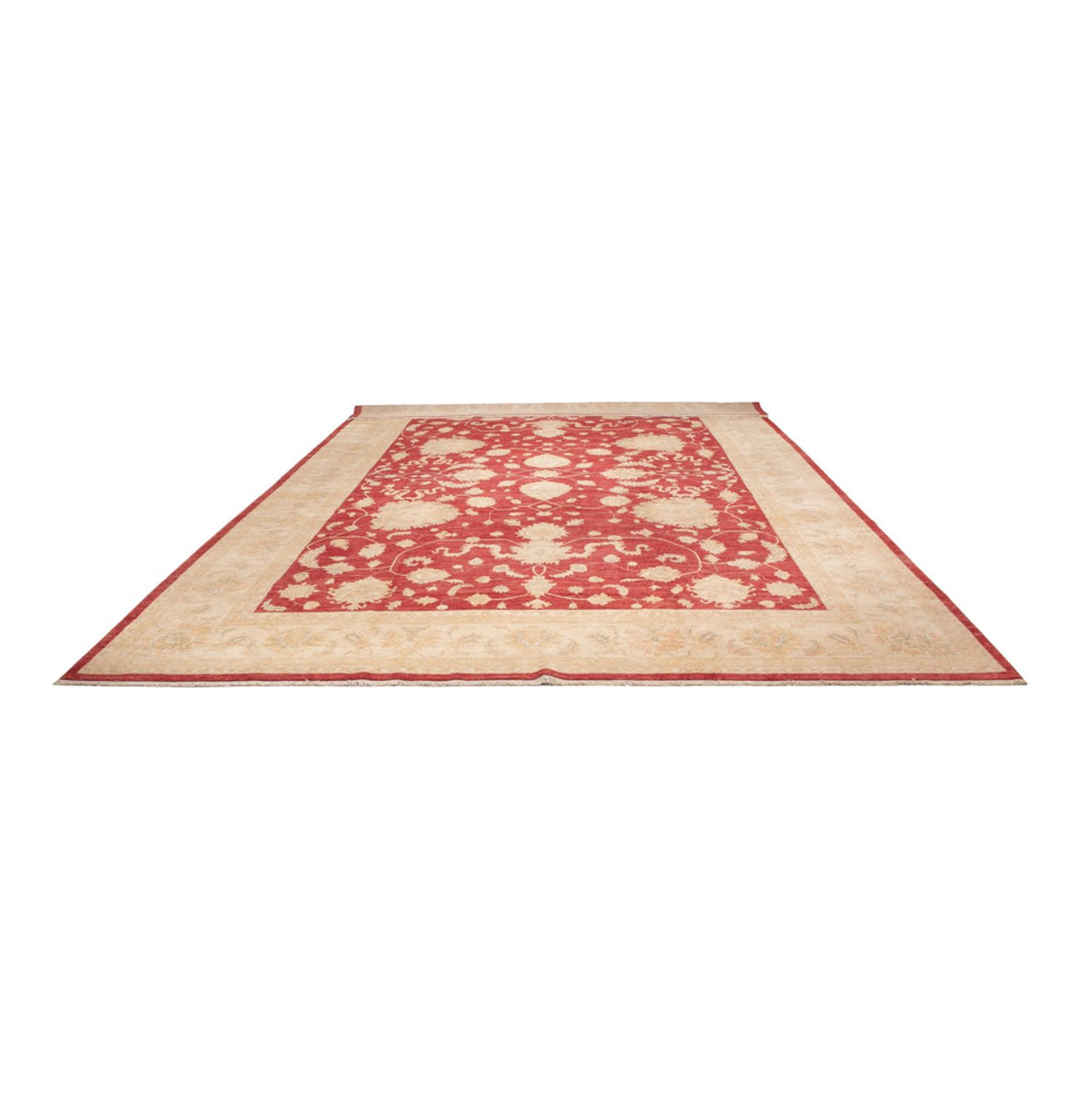 Ziegler Rug - 540 x 352 cm - red