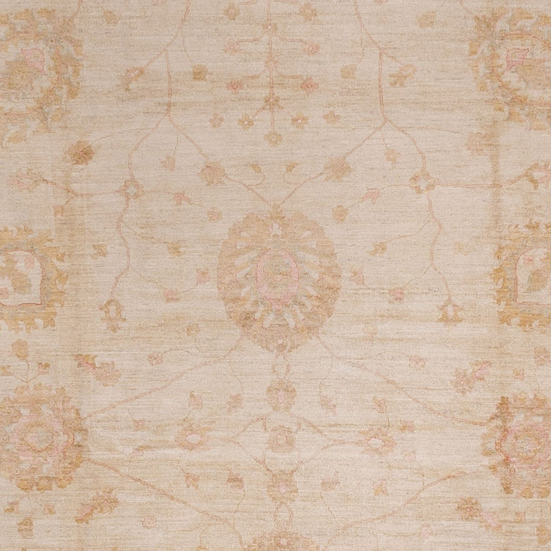 Ziegler Rug - 543 x 350 cm - beige