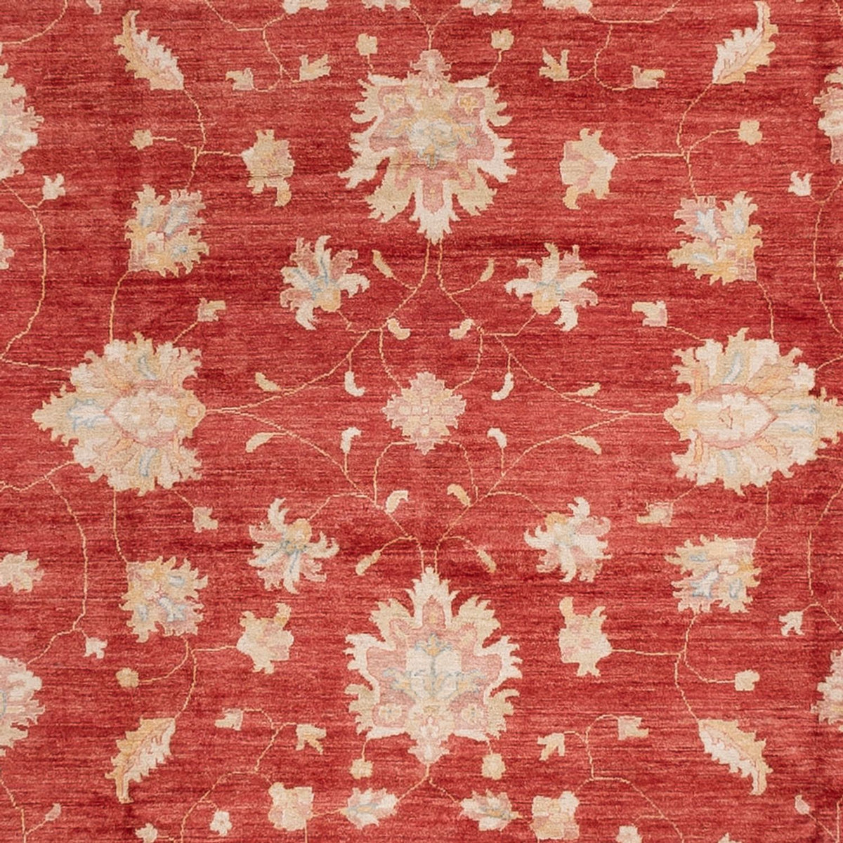 Ziegler Rug - 493 x 253 cm - red