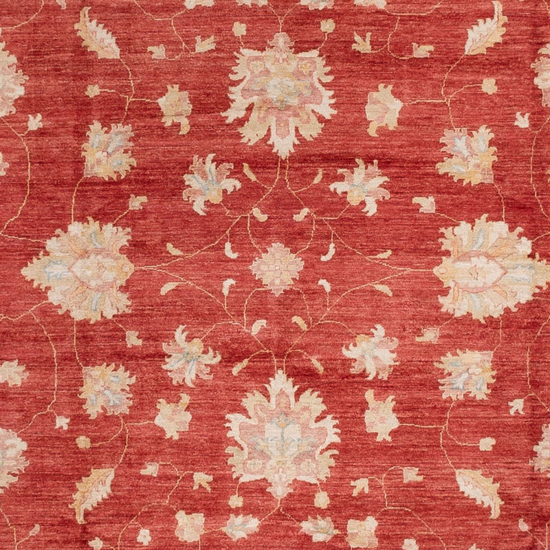 Ziegler Rug - 493 x 253 cm - red