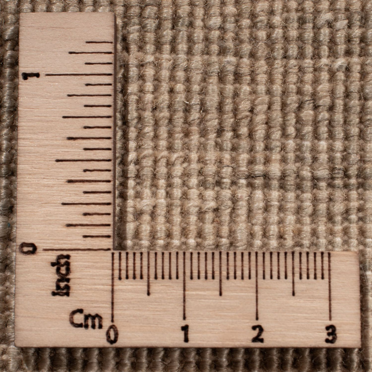 Designer Rug - 501 x 308 cm - multicolored