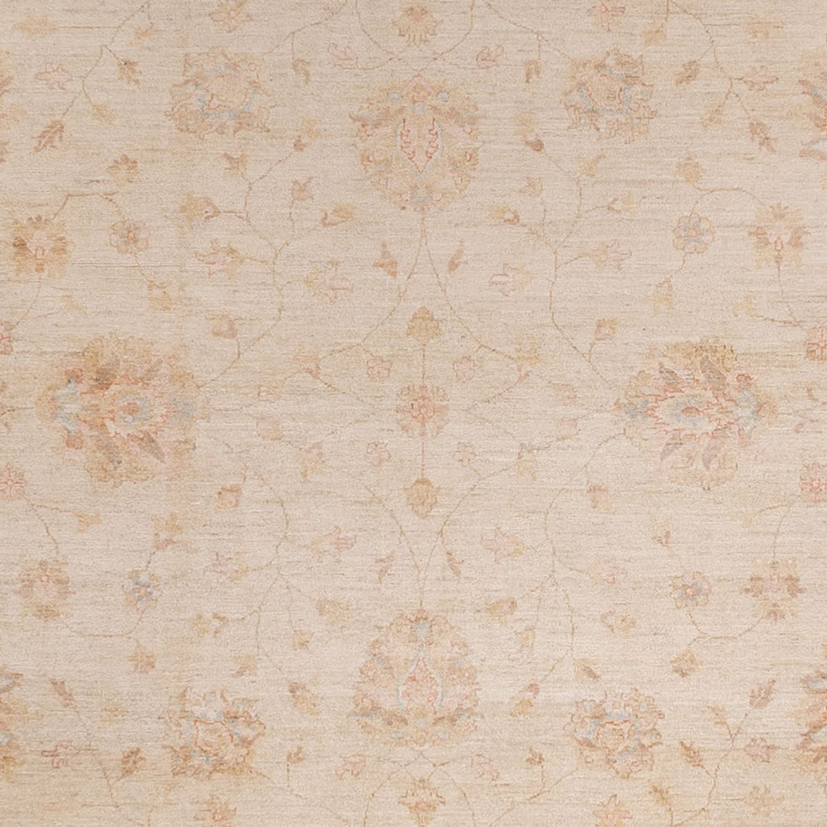 Ziegler Rug - 487 x 301 cm - beige