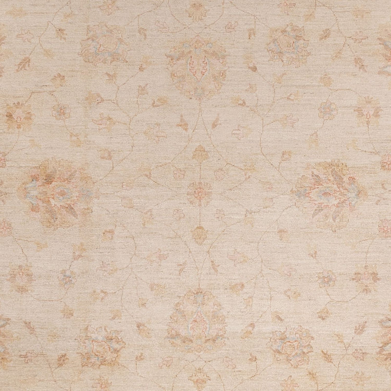 Ziegler Rug - 487 x 301 cm - beige