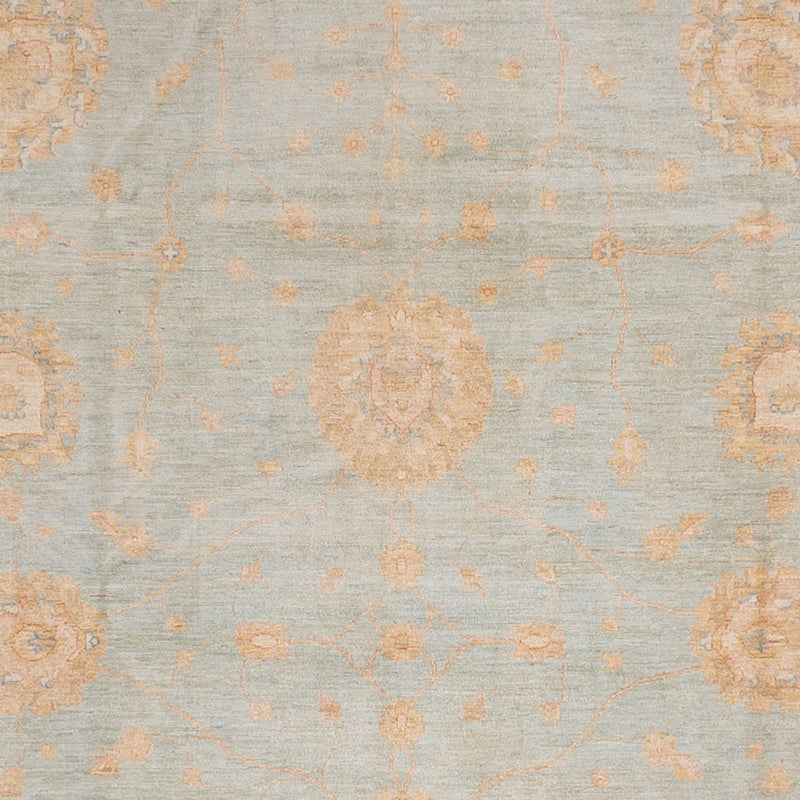 Ziegler Rug - 543 x 354 cm - light blue