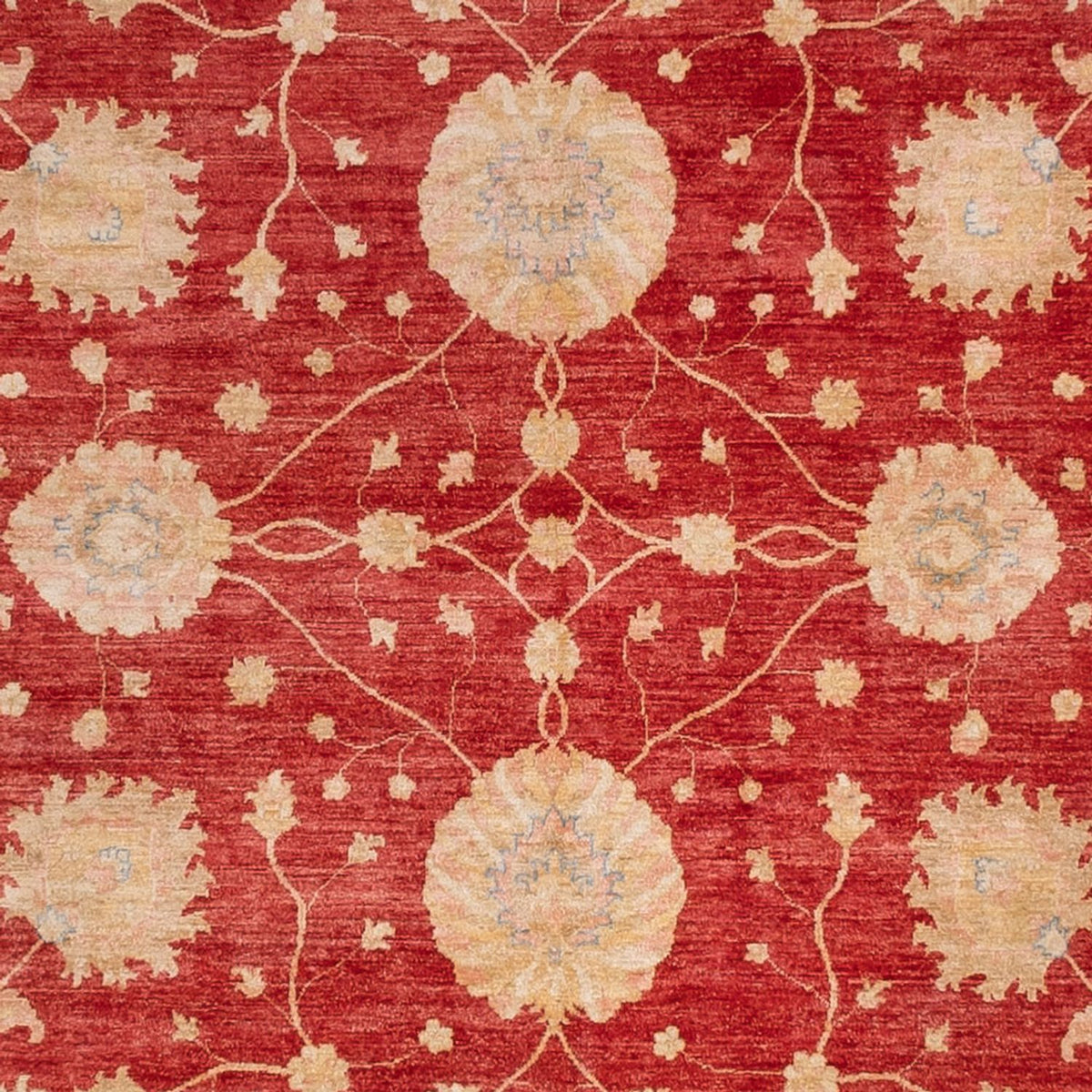 Ziegler Rug square  - 392 x 403 cm - red