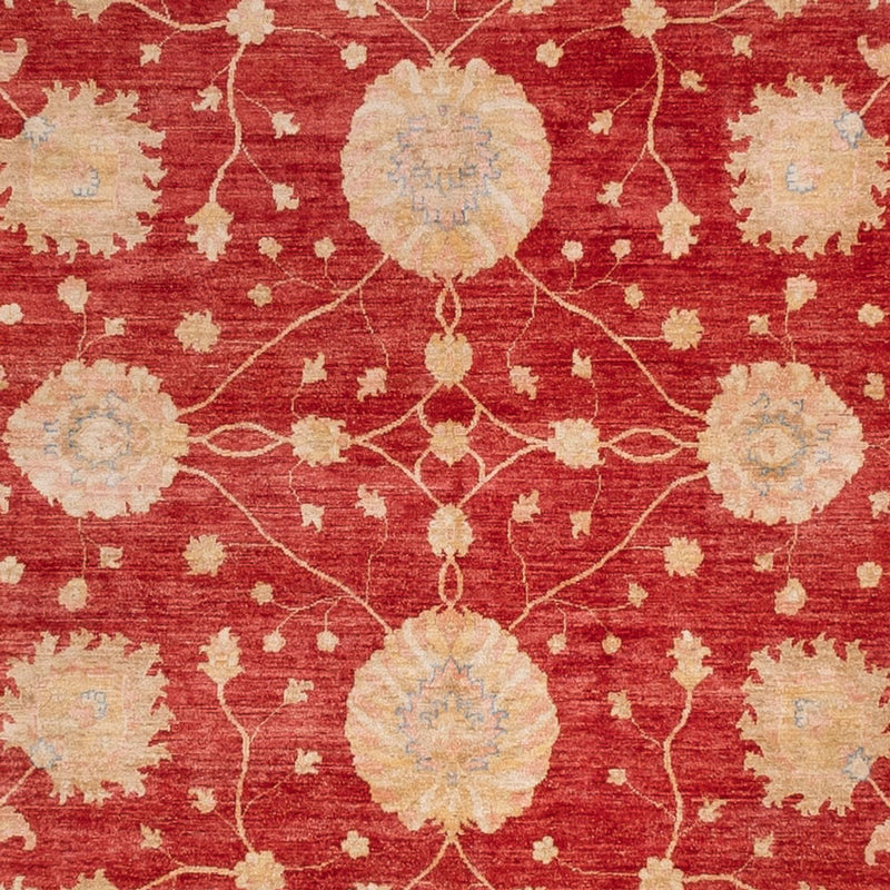 Ziegler Rug square  - 392 x 403 cm - red
