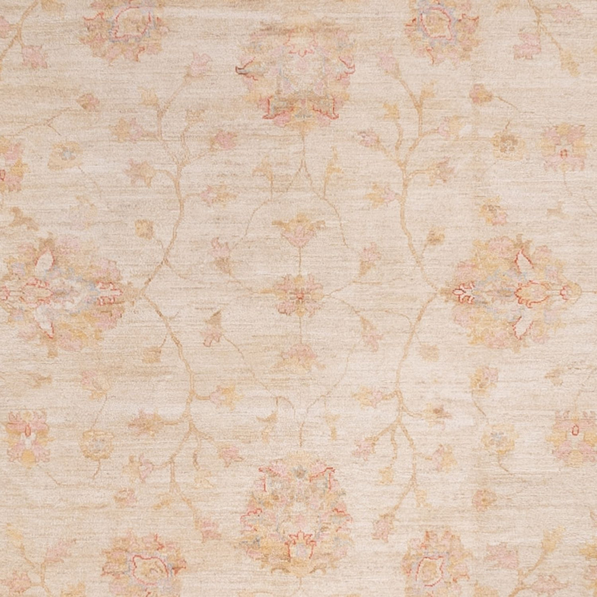Ziegler Rug square  - 393 x 398 cm - beige