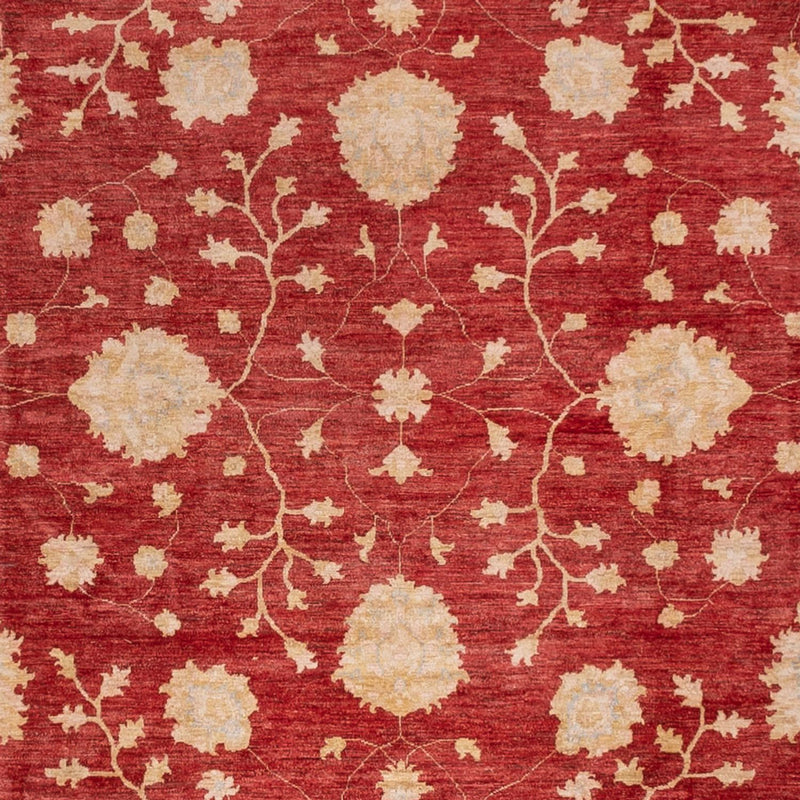 Ziegler Rug square  - 491 x 405 cm - red