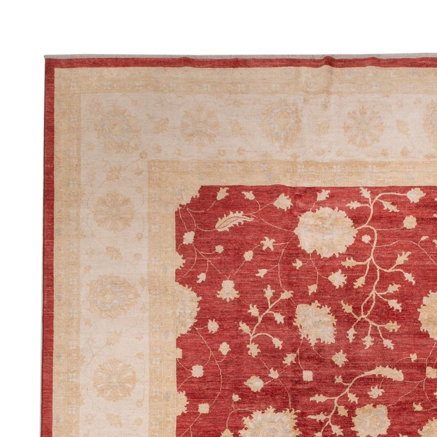 Ziegler Rug 491x405cm - Oriental Rug