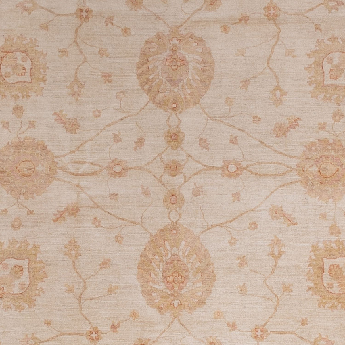 Ziegler Rug - 440 x 304 cm - beige
