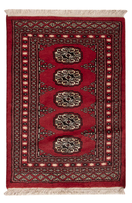 Pakistani Rug - 93 x 61 cm - red