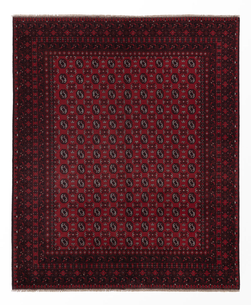 Afghan Rug - Filpa - 302 x 245 cm - red