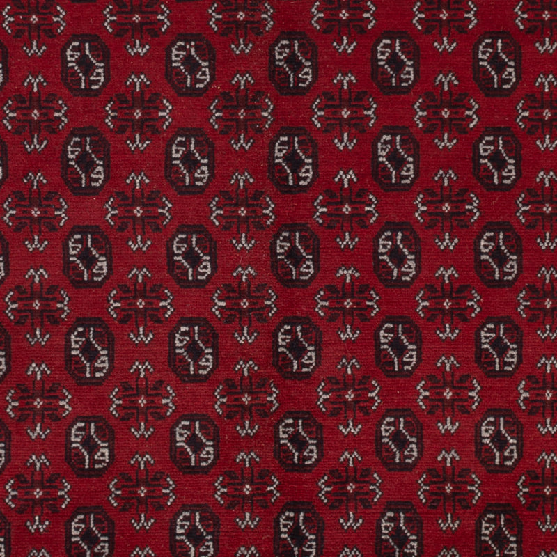 Afghan Rug - Filpa - 302 x 245 cm - red