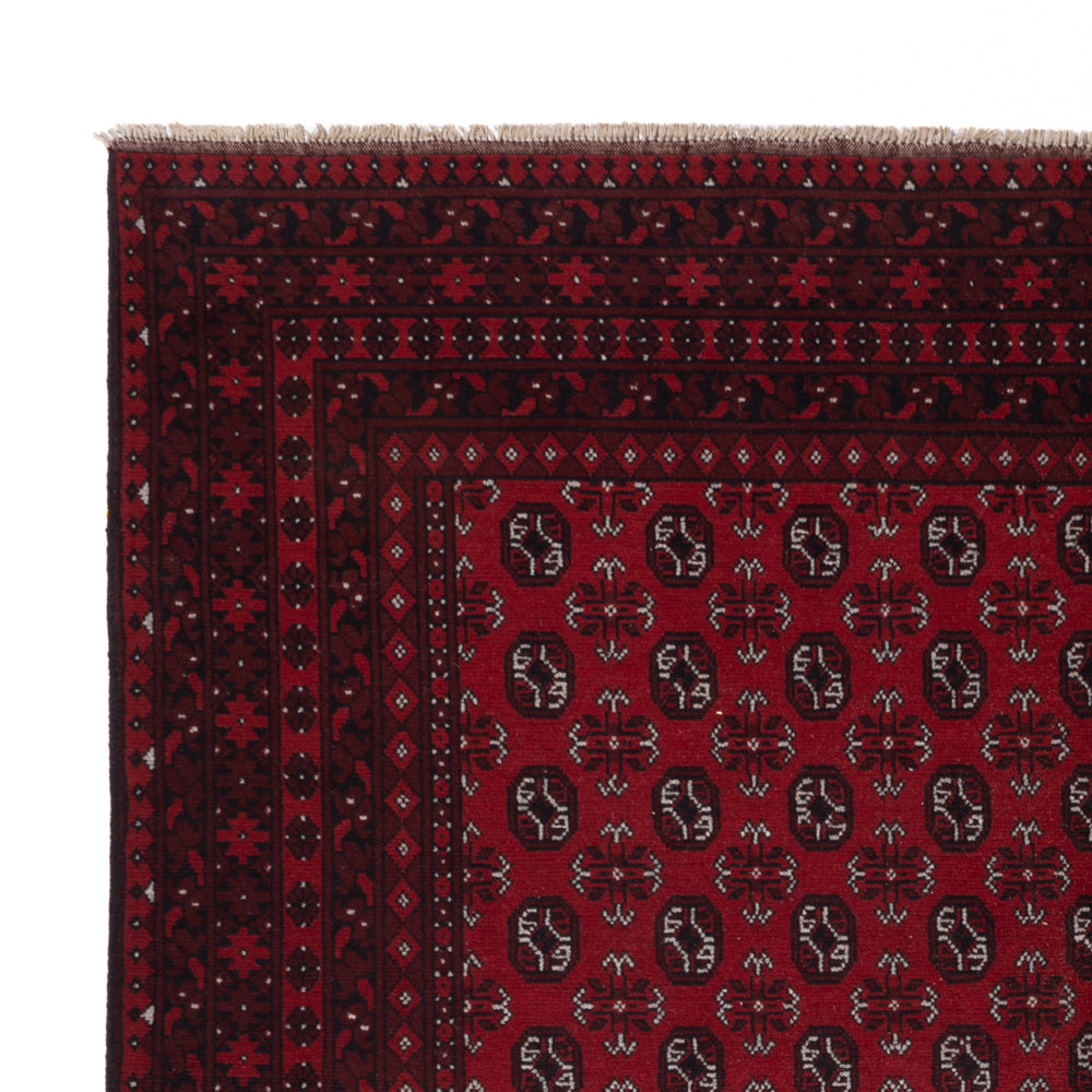 Akhche Rug 245x302cm - Oriental Rug