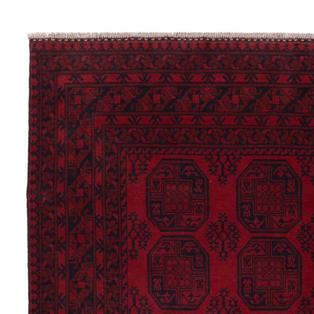 Akhche Rug 245x300cm - Oriental Rug