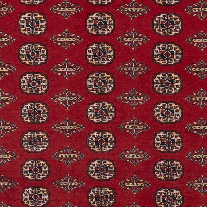Pakistani Rug - 318 x 248 cm - red