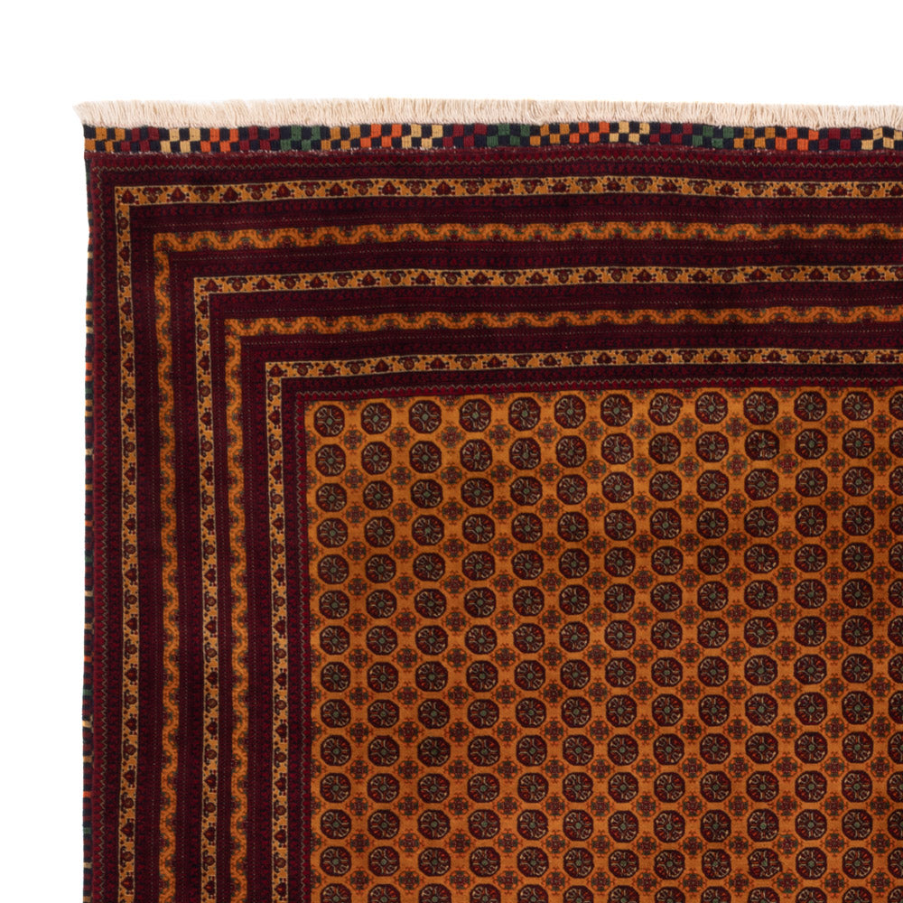 Afghan Rug 251x334cm - Oriental Rug