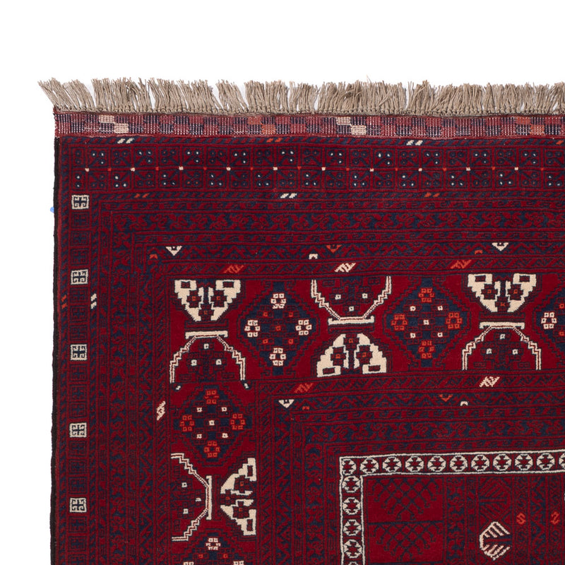 Afghan Rug - 246 x 151 cm - dark red