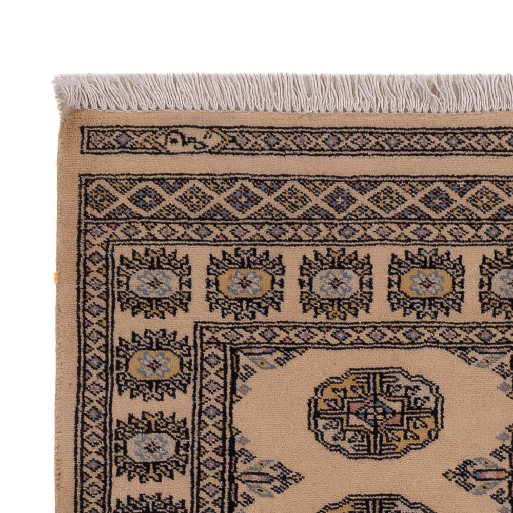 Pakistani Rug 164x96cm - Oriental Rug