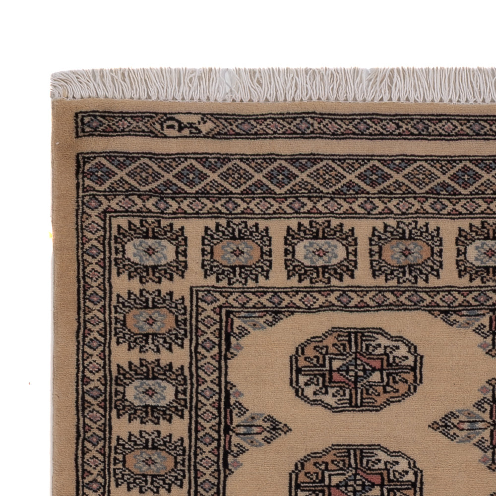 Pakistani Rug 152x97cm - Oriental Rug