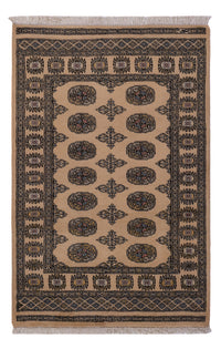 Pakistani Rug 148x95cm - Oriental Rug – product image