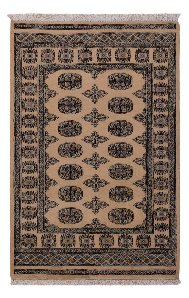 Pakistani Rug 148x95cm - Oriental Rug