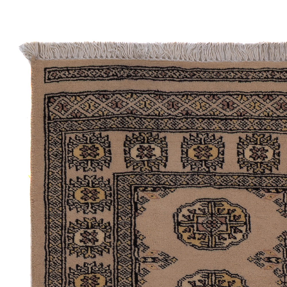 Pakistani Rug 155x97cm - Oriental Rug