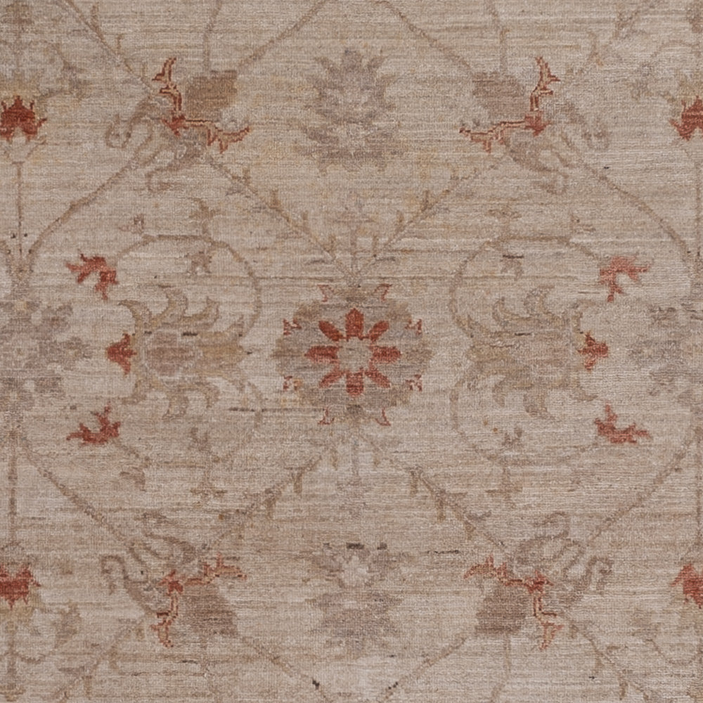 Ziegler Rug - 302 x 244 cm - beige