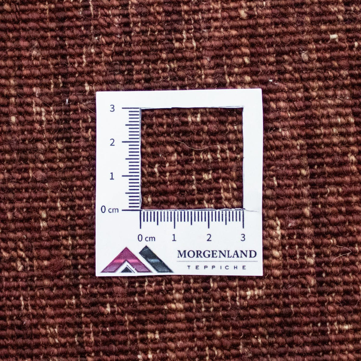 Ziegler Rug - 237 x 172 cm - colorful