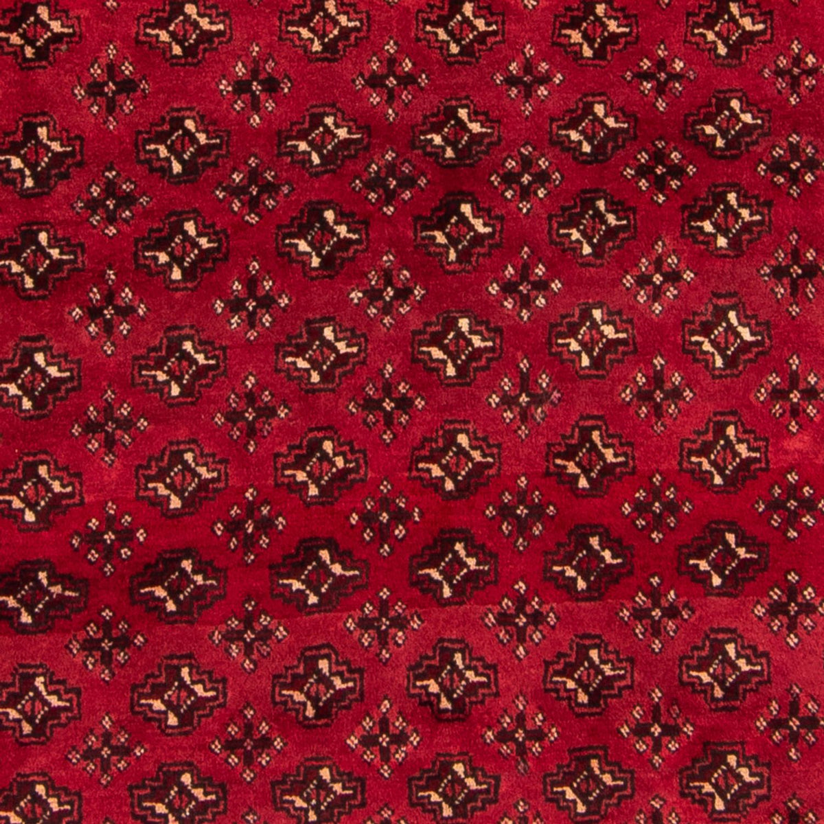 Turkaman Rug - 239 x 130 cm - red