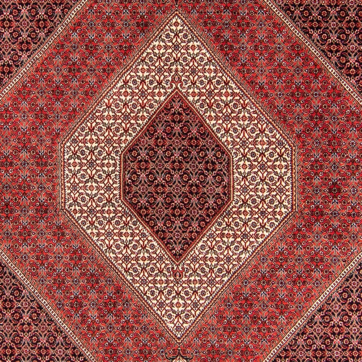 Perser Rug - Bidjar - 240 x 175 cm - red
