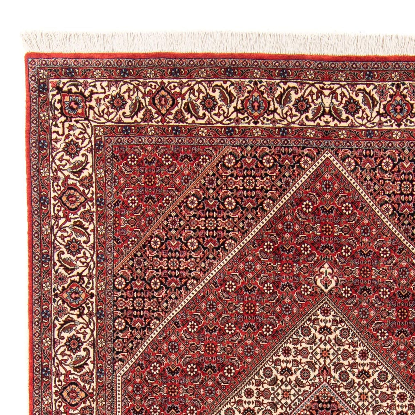 Bidjar - Takab Rug 252x174cm - Persian Rugs