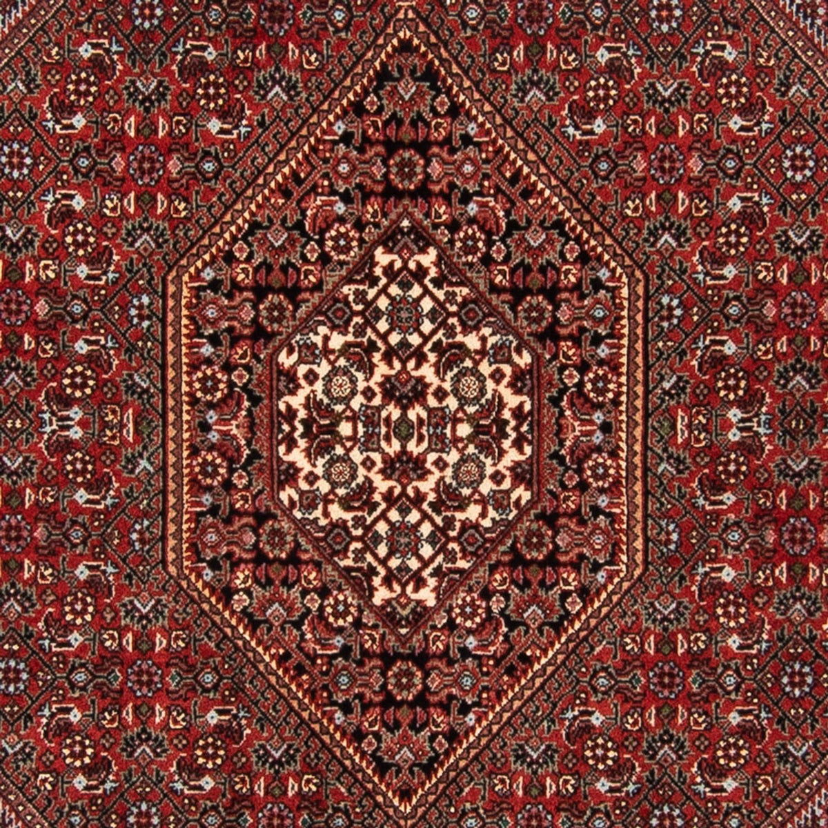 Perser Rug - Bidjar - 140 x 92 cm - red